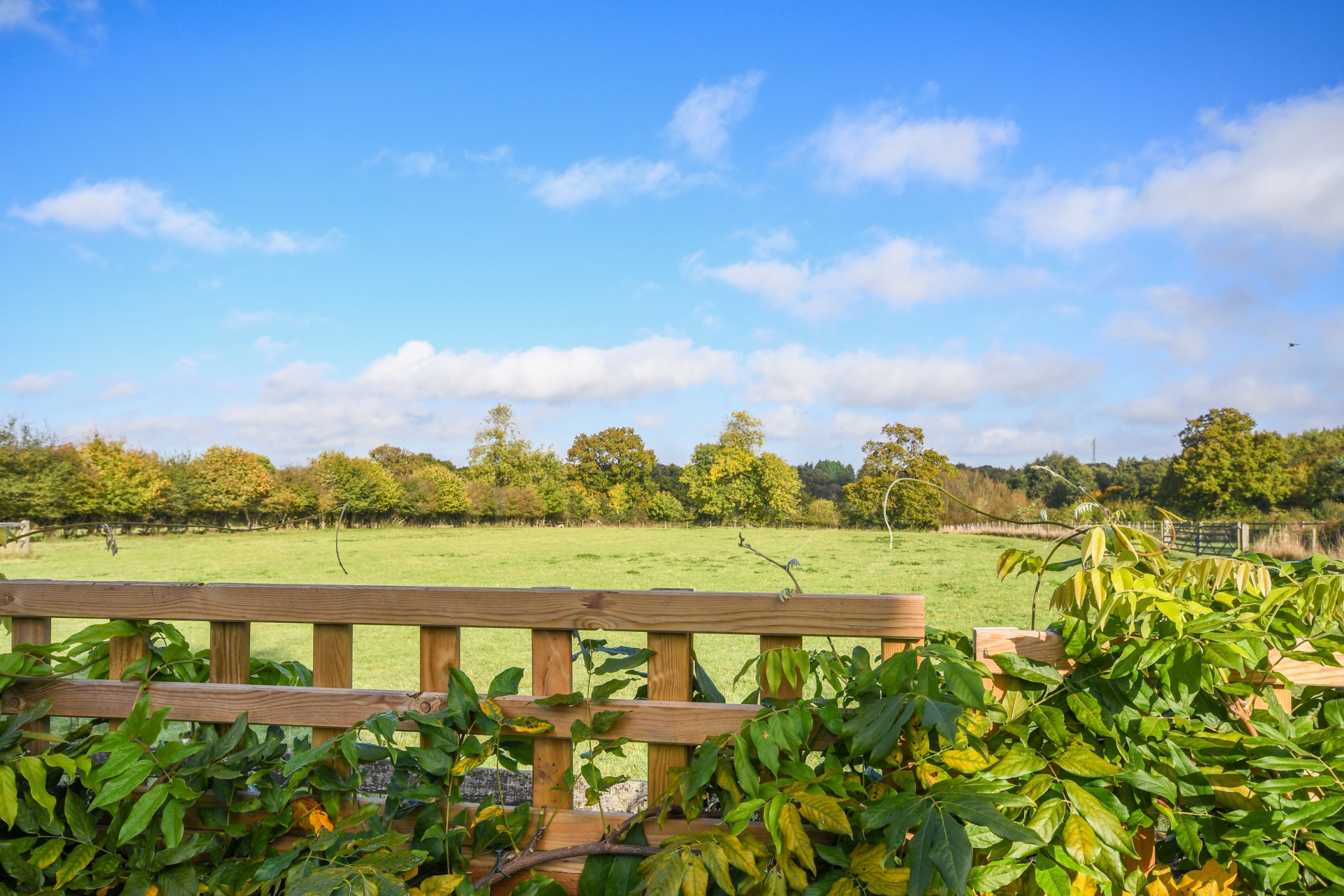 Images for Coxtie Green Road, Pilgrims Hatch